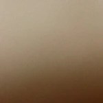 Plato blanco con pappardelle con salsa de nuez sobre una mesa