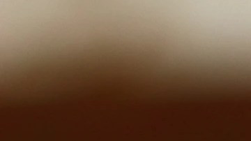 Plato blanco con pappardelle con salsa de nuez sobre una mesa