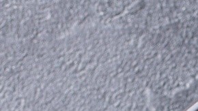 Pappardelle con salsa de tomate asado