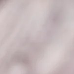 Plato negro con una porción de pappardelle con salsa de tomate y albóndigas sobre una pared de madera