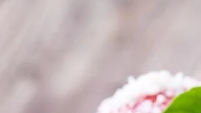 Plato negro con una porción de pappardelle con salsa de tomate y albóndigas sobre una pared de madera