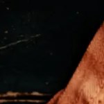 Plato negro con una cremosa pasta a la carbonara de calabaza