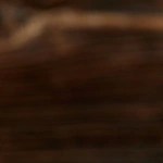 Rigatoni con Camarones