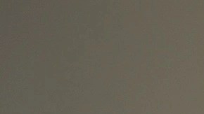 arepa de pollo mechado