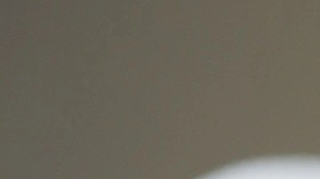 arepa de pollo mechado