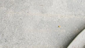 canapés de diablitos