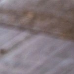 Enmoladas de frijoles