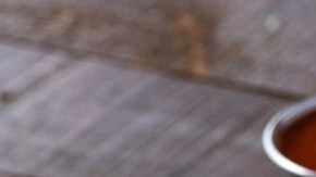 Enmoladas de frijoles