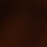 Plato azul con enmoladas de pollo sobre una mesa de madera