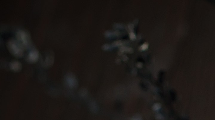 Manzanas cubiertas de chocolate negro sobre una mesa negra y decoración de Halloween