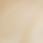 Plato hondo con mole negro sobre una mesa blanca decorado con ingredientes