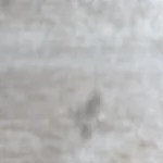 Plato blanco con espaguettis endiablados o diablitos