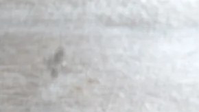 Plato blanco con espaguettis endiablados o diablitos