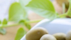 paté de aceitunas verdes