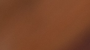 Polvorosa de pollo venezolana recién horneada, con una masa dorada y quebradiza y relleno cremoso de pollo desmenuzado.