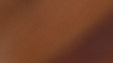 Polvorosa de pollo venezolana recién horneada, con una masa dorada y quebradiza y relleno cremoso de pollo desmenuzado.