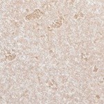 Plato blanco con rigatoni con calabacín y limón sobre una mesa