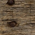 rigatoni con almejas