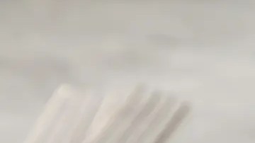 brocoli con camarones