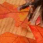 Tazas de café navideño decorado con crema batida sobre una mesa de madera