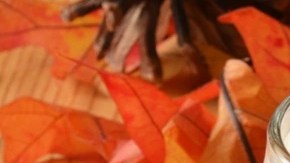 Tazas de café navideño decorado con crema batida sobre una mesa de madera