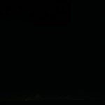 Pappardelle con salsa boscaiola