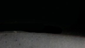 Pappardelle con salsa boscaiola