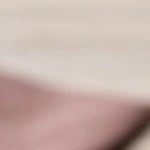 Plato color blanco con rodajas de pan y paté de jabalí