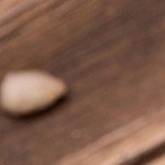 Pesto alla trapanese