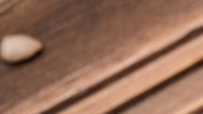 Pesto alla trapanese