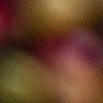 Puré de papa trufado sobre un plato de porcelana blanco