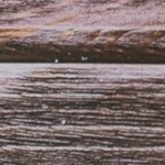 Plato gris con pasta rigatoni con crema y panceta, servido en una mesa junto a un vaso de agua y cubiertos