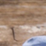 Olla negra con rigatoni con pesto sobre una mesa de madera decorado con cubiertos