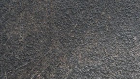 Sorbete de cacao puro con ron