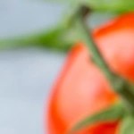 empanada griega de espinacas