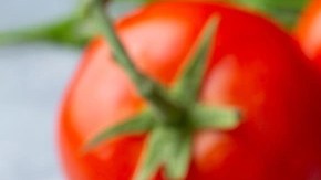 empanada griega de espinacas