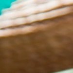 Rodajas de pechuga de pollo con mole manchamanteles en un plato cuadrado