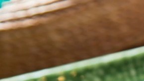 Rodajas de pechuga de pollo con mole manchamanteles en un plato cuadrado