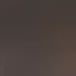 sandwich de pollo con queso derretido