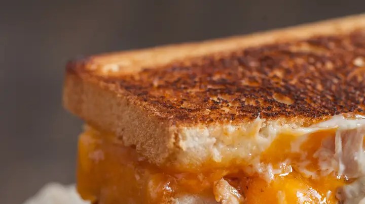 sandwich de pollo con queso derretido