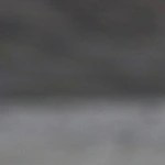 Paté de cerdo con pimienta verde en recipientes de vidrios y sobre varias tostadas