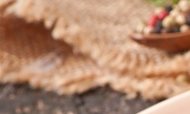 Pinchos de pollo con salsa de ajo y parmesano