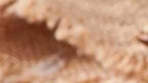 Pinchos de pollo con salsa de ajo y parmesano