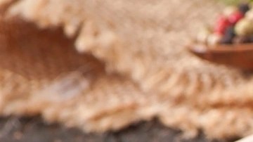 Pinchos de pollo con salsa de ajo y parmesano