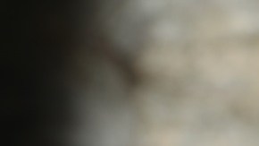 ponche crema de café