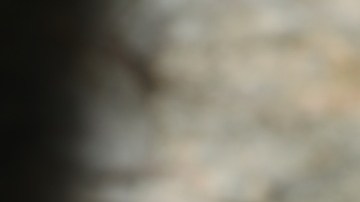 ponche crema de café