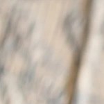 Quiche de cebolla caramelizada, pera y romero de forma redonda sobre una tabla de madera