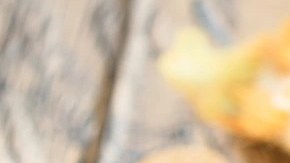 Quiche de cebolla caramelizada, pera y romero de forma redonda sobre una tabla de madera