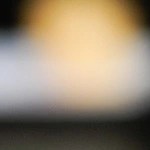 Rigatoni con Pollo y Pesto