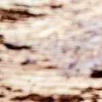 Sartén con rigatoni con ricotta y espinacas sobre una mesa de madera